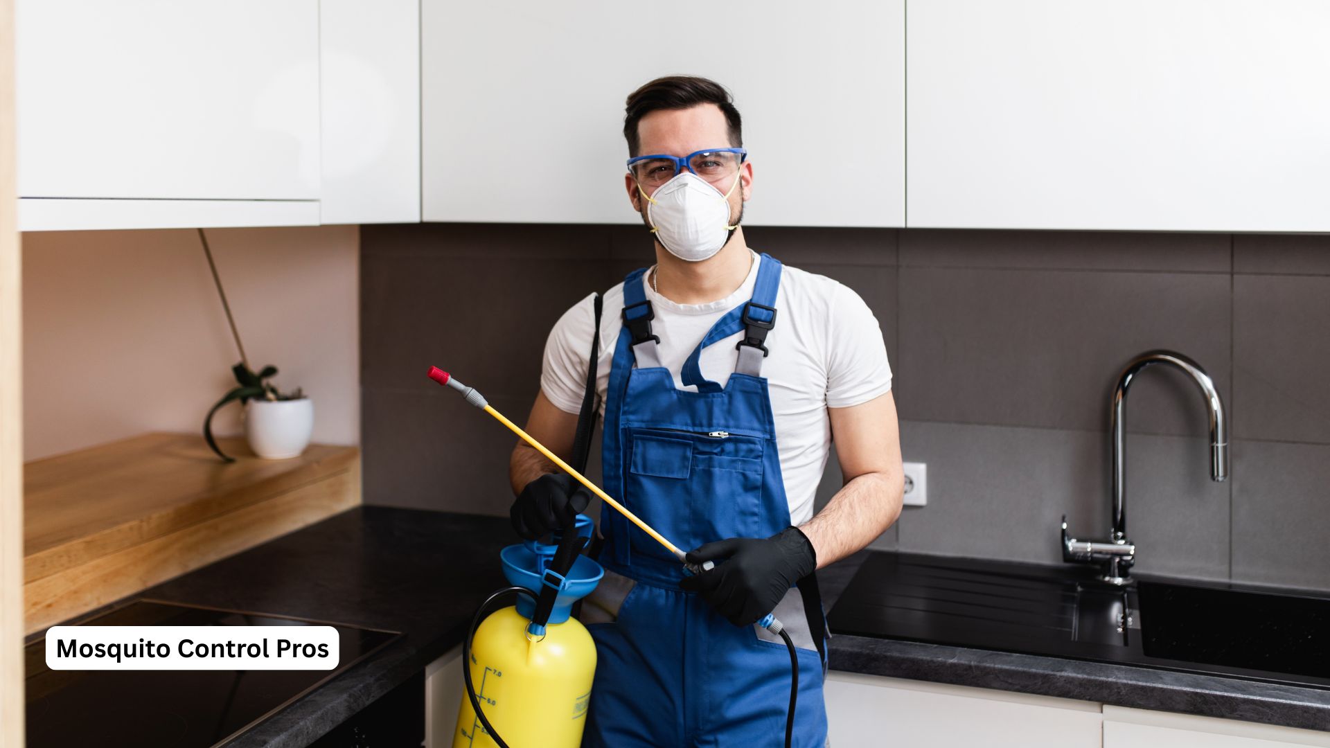 Backyard mosquito fogging treatment for immediate relief
