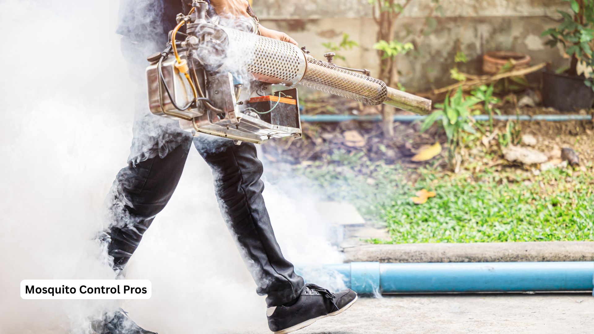 Comprehensive backyard landscape mosquito control