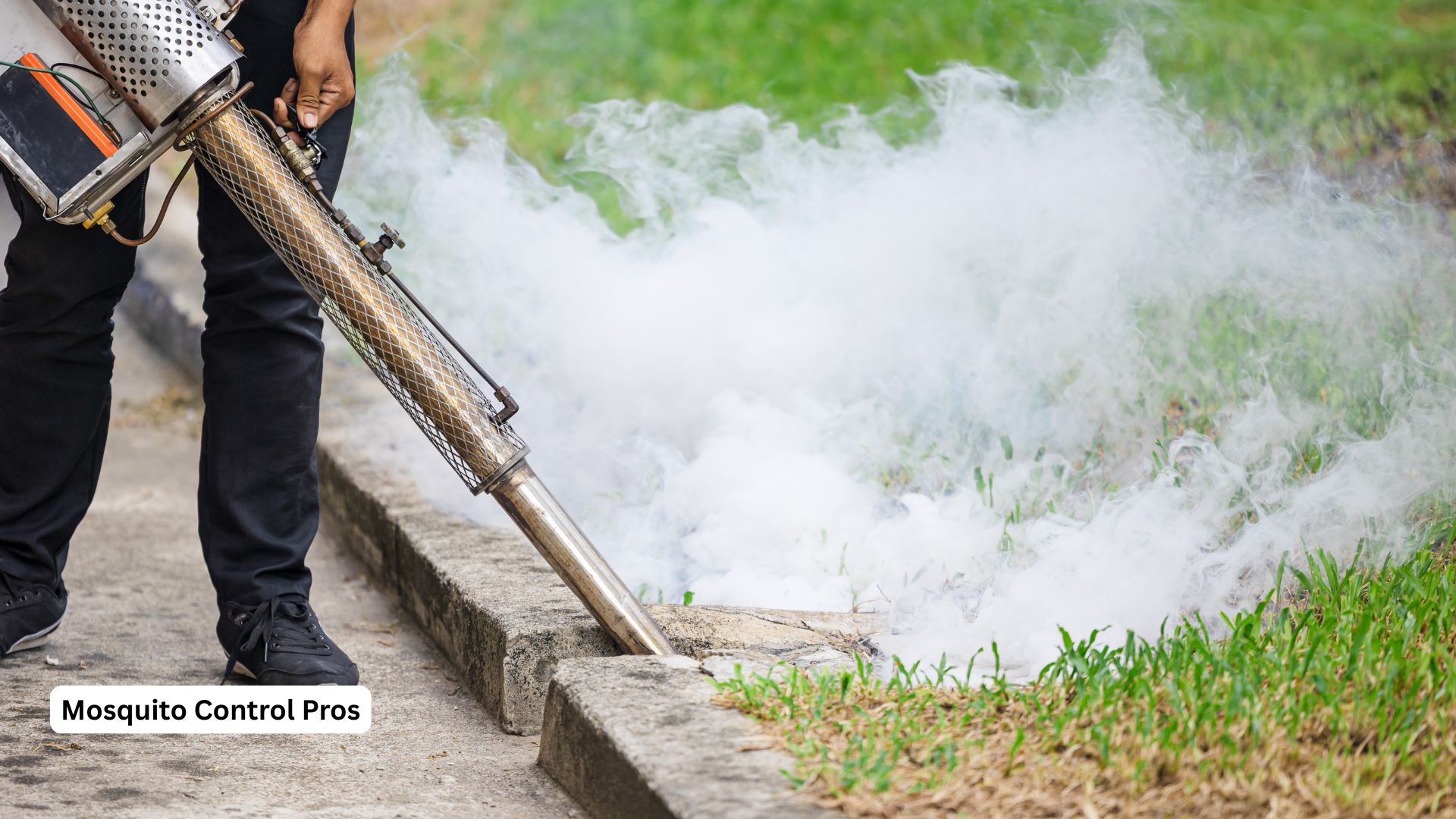 Johns Creek Georgia backyard mosquito breeding sites and control measures